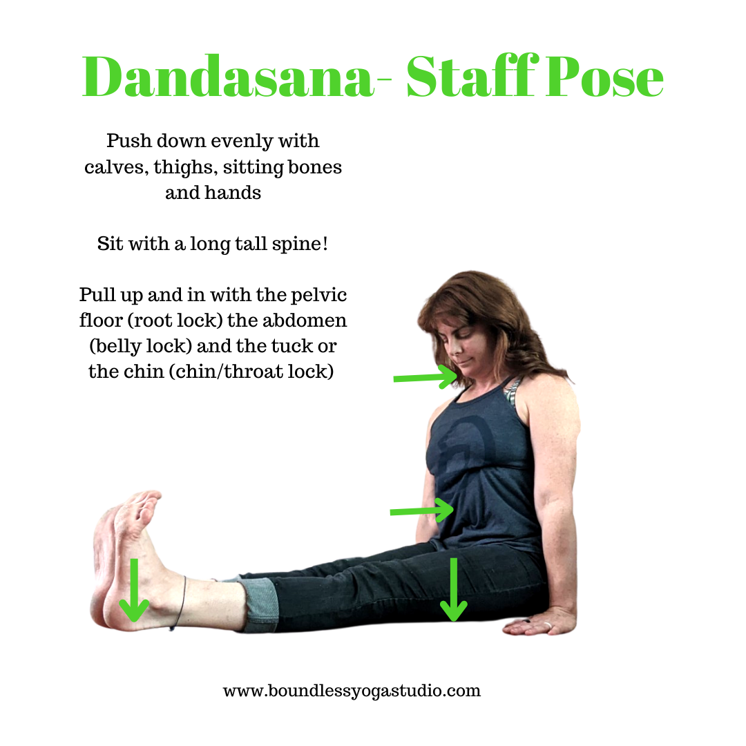 Weekly Pose Tutorial: Chaturanga Dandasana (Four-Pointed Staff